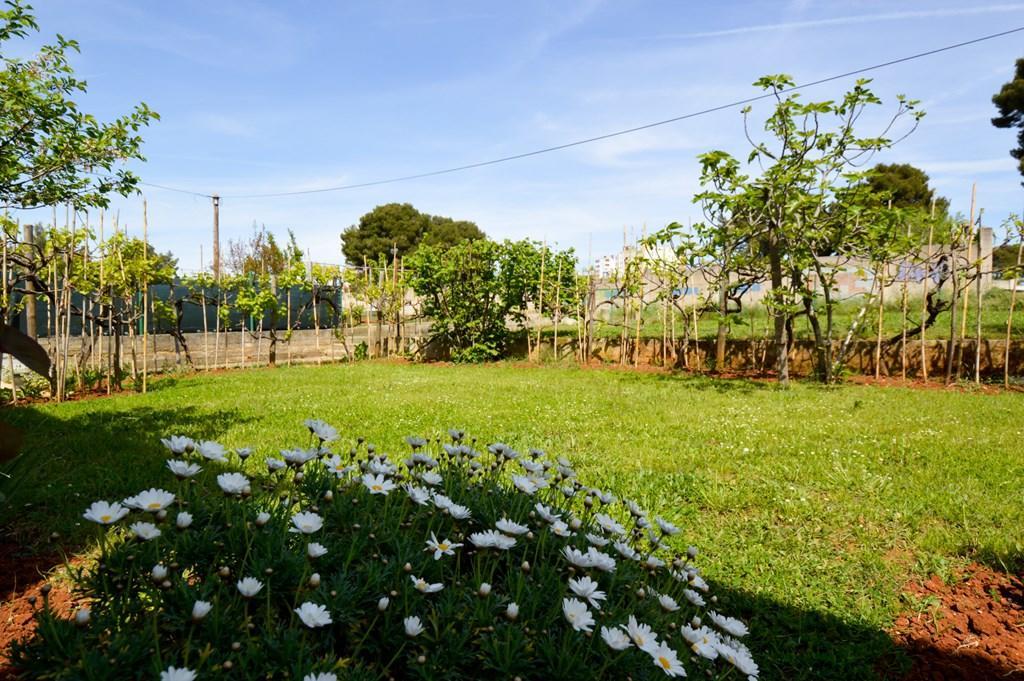 Apartment Nela 23 Πούλα Εξωτερικό φωτογραφία
